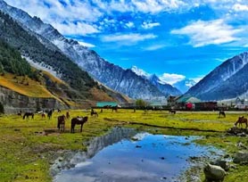 travel packages to kashmir