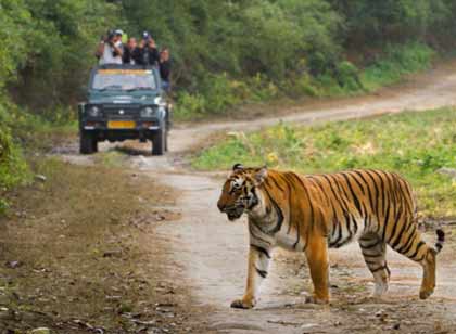 travel packages to uttarakhand